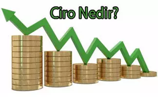 Ciro Nedir st D zey Y netici E itimleri dy Belgesi